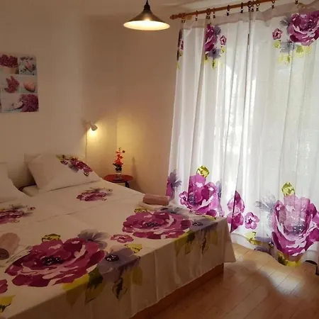 Diana Lovetovo * Vodice