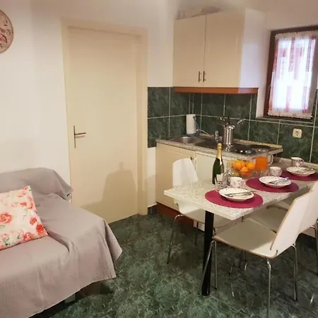 Apartment Diana Lovetovo