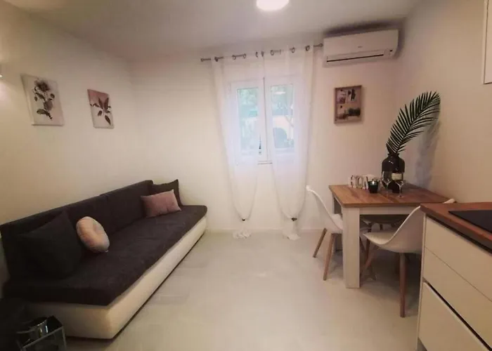 Diana Lovetovo 보디체