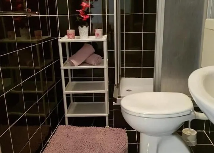 Diana Lovetovo 보디체